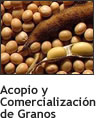 Acopio y Comercialización de Granos